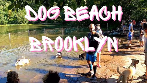 Dog Beach at Prospect Park